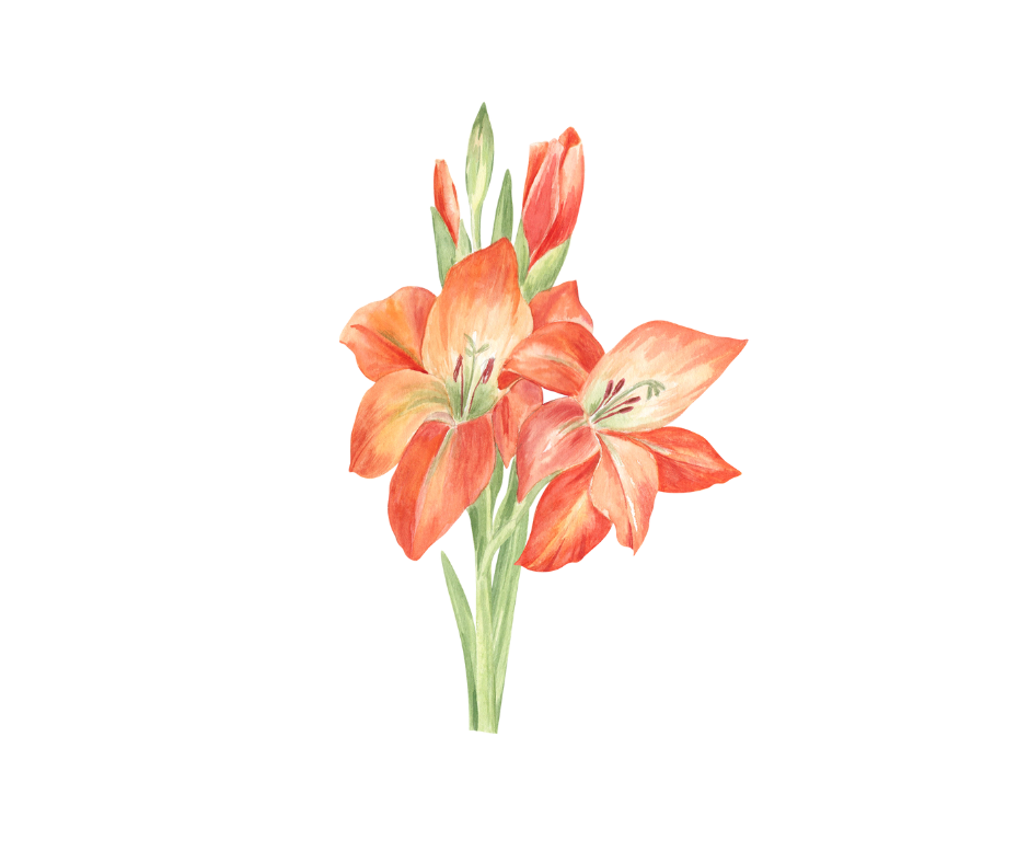 Birth Month Flower Digital Prints