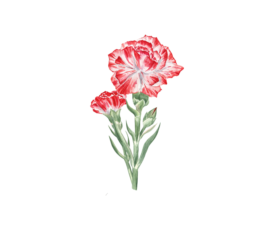 Birth Month Flower Digital Prints