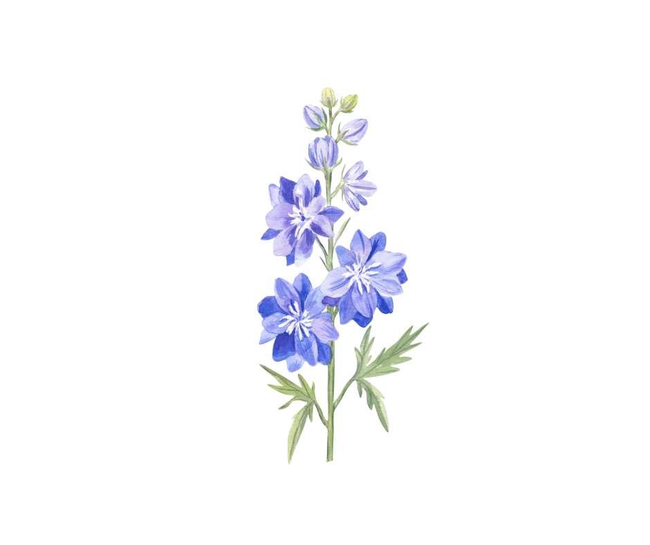 Birth Month Flower Digital Prints